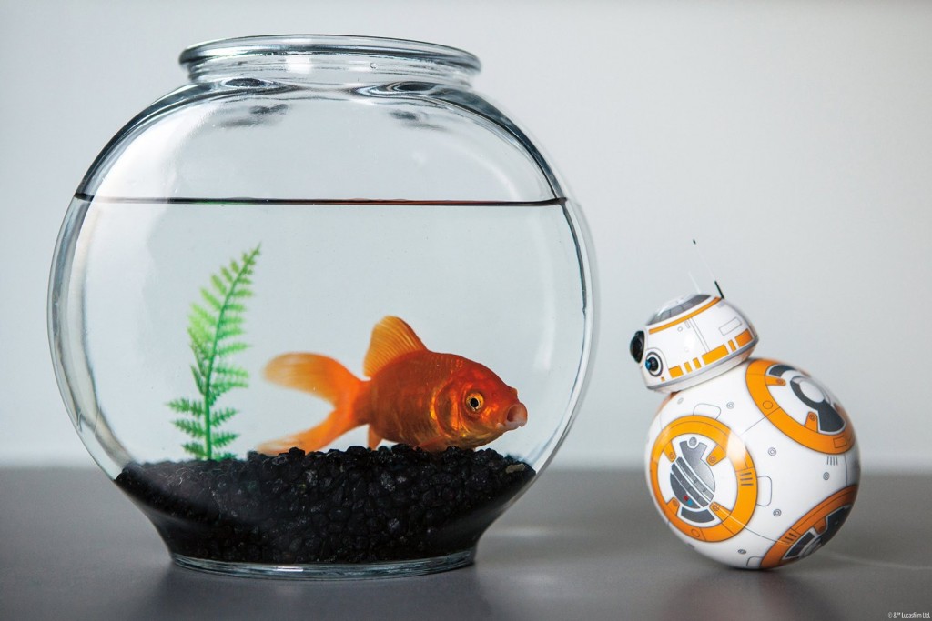 bb8-robot-oferta