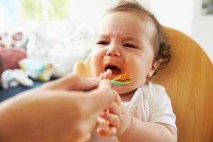 Unhappy Baby Being Fed In High Chair At Meal Time