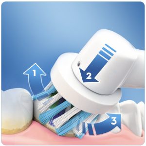 chollo oral b 3