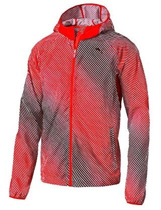 chollo-puma-2