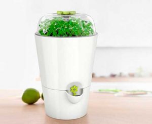 emsa-fresh-herbs-barata