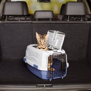 transportin-amazon-oferta