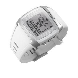 chollo polar 4