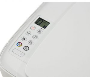 chollo hp 3