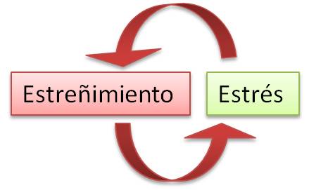 chollo mierda 4