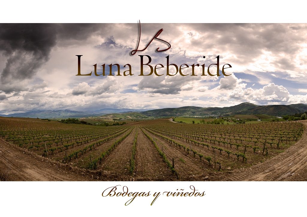 chollo-vinos-2
