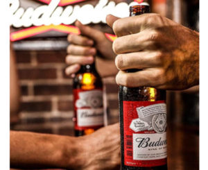 Pack de 24 botellas, 25cl, Budweiser American Lager doble fermentación por 14,99€.