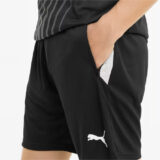 shorts-puma