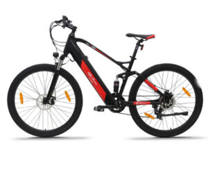 bici2