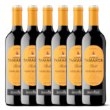 vino-tinto-altos-tamaron-oferta