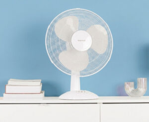 Taurus Greco 16, potencia y frescor en formato compacto (40cm) por 26,80€ antes 39,99€.