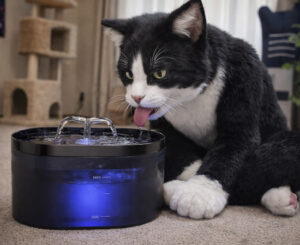 Fuente para mascotas con doble flujo de agua, 2.2L.