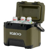 igloo