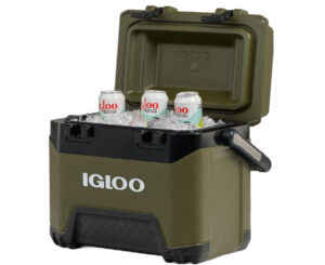 igloo