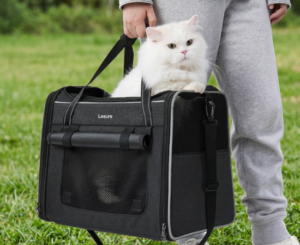 Transportín plegable para gatos: comodidad, seguridad y aventuras felinas.
